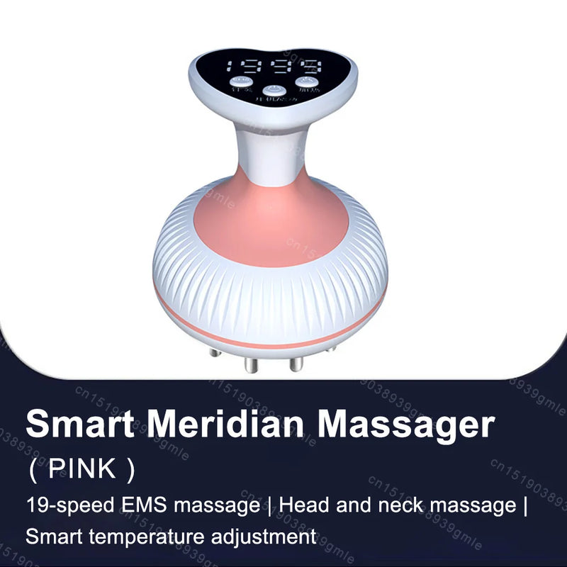Electric Meridian brush