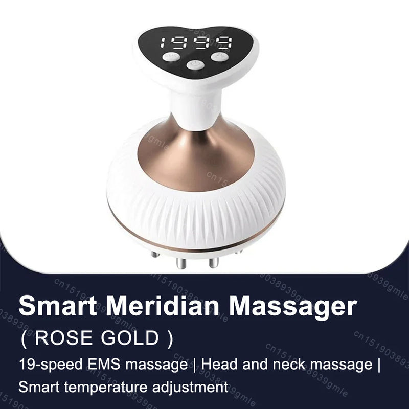 Electric Meridian brush