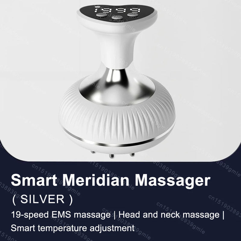 Electric Meridian brush
