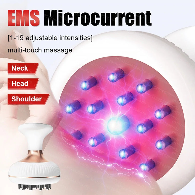 Electric Meridian brush